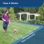 PetSafe Basic In-Ground Pet Fence 