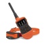 SportDOG SportTrainer 875E